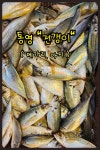 통영 제철 전갱이 메가리 생선 아지 싱싱한 제철 전갱이 구이 조림 : 통영 해물세상
