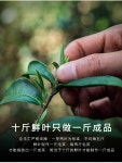 [4-52] 전통공예 무이암차 민북우롱차(오룡차) 진한향 중화탄배 약300g by 복건호차부차창 : 운남상회 티다차이