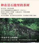 단계상회(차부상회) | [4-52] 전통공예 무이암차 민북우롱차(오룡차) 진한향 중화탄배 약300g by 복건호차부차창 : 운남상회 티다차이