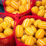 11kg 당일수확 성주 고당도 참외 꿀참외 10kg 당도선별 산지직송 가정용 못난이 : 해남형제