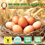 비리지 않고 고소한 바나듐 미네랄 유정란 40구 농장 직배송 당뇨 혈당관리 천연 인슐린 : 더케리