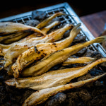 두절 조미 노가리 반건조노가리 왕노가리 촉촉 안주 500g : 씨필드