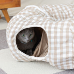 세븐펫 고양이 숨숨 터널 하우스 장난감 : 세븐펫