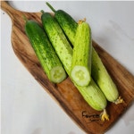 오이 소박이용 맛있는 아작아작 다다기 오이 5kg : 헬스메디칼
