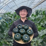 [무배] 함평 하우스 공중재배 미니 밤호박 단호박 보우짱 10kg 정솔농장 : 정솔농장