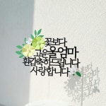 케이크 토퍼 생일 환갑토퍼 축하 문구 제작 고운 어머니 : 소 소 애