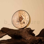 커버퀸 오리엔탈 골드 에센스 파운데이션 21호 리필1개, 12g : 커버퀸1