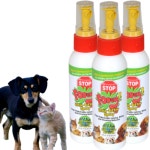 강아지가 싫어하는 냄새 벽지 뜯는 강아지 개 접근금지 1개 : 라라스토어샵