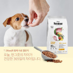 디바크 센스 그레인프리 치킨앤덕 어덜트 2kg 강아지 사료 : 올코
