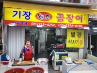 국내산 산 꼼장어 곰장어 먹장어 부산 기장 시장 : 기장원조곰장어
