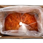 맛있게 익은 본토김치 2달 숙성 10kg 김치 묵은지 : 백억푸드웨이