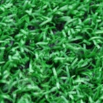 에포 8mm 그린 120CM 20M 골프연습장매트 정원인조잔디 인조잔디 : 에포구