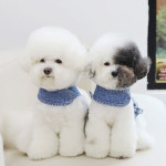 레드퍼피 체크프릴 데님하네스 귀여운 강아지 남아 여아 커플룩 : KROOMIZE