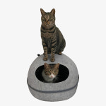 뚜또가또 고양이 꼼꼼 숨어라 숨숨집 대형하우스 : 도그다