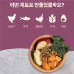 아카나 퍼스트 피스트 캣 1.8kg : 젤리펫샵