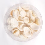 조개껍질 조개껍데기 백색꼬막 90g 통포장 소라 고둥 만들기 꾸미기 공예 재료 : 아트타운