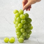[농할쿠폰] 경북 샤인머스켓 포도 1kg 씨없는 청포도 : 산해직송