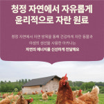 아카나 퍼스트 피스트 캣 1.8kg : 젤리펫샵