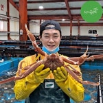 러시아대게 박달 대게 활 자숙 찜 대개 선어 시세 : 최고다농수산