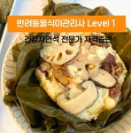 [예약금 제외] 반려동물식이관리사 / 강아지 집밥 / 약선 펫푸드 자격증 / 더힐테라피센터 : 유마이러브