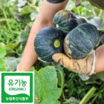 제주 유기농 미니단호박 3kg, 5kg, 6kg, 10kg : 제주설아씨농장