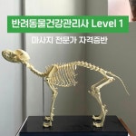 [예약금 제외] 반려동물건강관리사 / 펫마사지 자격증 / 더힐테라피센터 대구 : 유마이러브