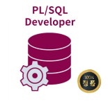 PL/SQL Developer 20 user License 기업용 : 소프트웨어셀