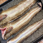 통영산 바다장어 1kg 당일바리 손질 대왕장어 : 홍게선주 딸래미네