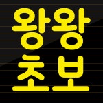 초보운전 스티커 왕왕왕왕 초보 운전 1 왕초보 M 옐로우 추가안함 : 블랑꾸르