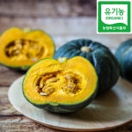 제주 유기농 미니단호박 3kg, 5kg, 6kg, 10kg : 제주설아씨농장