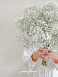 조각꽃집 화이트 생화 안개꽃 대형부케 촬영부케 생화 결혼식 웨딩 브라이덜샤워 : piece flower