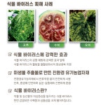 팜월드 500ml 고추 바이러스 식물영양제 화분영양제 비료 칼라병 경농 : 농약사유