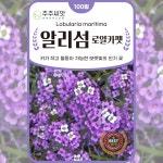 보라색 알리섬씨앗 100립 로얄카펫 종자 씨 왜성종 키작은 노지월동 꽃씨 몰 알릿섬 퍼플 : 주주씨앗