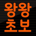 초보운전 스티커 왕왕왕왕 초보 운전 1 왕초보 M 옐로우 추가안함 : 블랑꾸르