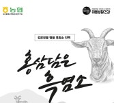 홍삼담은 진액 흑염소 2100ml (70ml 30포) 농협 : 다이쯔몰