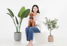서울 서초구 가족사진 잘 찍는 스튜디오 컨셉 프로필 사진관 우정사진 : 시그널스튜디오 강남점