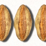 [100% 통밀빵] 자연발효종 속이 편한 영양 만점 비건빵 / 그레인제빵소 : 그레인제빵소