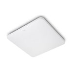 필립스 LED 방등 거실등 아펙스 55W 5700K 주광색 APEX 55W : 디지털프렌드