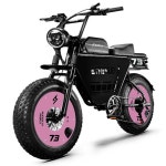 부릉이 전기자전거배달 출퇴근 펫바이크 자토바이 : 스마트씽크