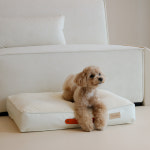 펫바이블 강아지 쿨매트 여름 냉감 듀라론 애견 사각 방석 사계절 쿠션 침대 패드 고양이 : PET BIBLE