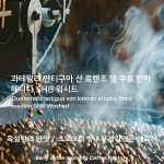 싱글오리진)  과테말라 안티구아 산 로렌조 엘 쿠보 핀카 메리나 SHB - 이른아침커피공장 : 이른아침커피공장