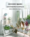 화분 자동 급수기 하우스정원 식물 급수 타이머 실내화원 단일 타이머(노즐/튜브 제외) : 세진SJ