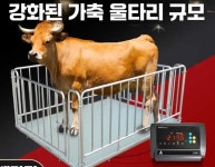 1-3 톤 농장 고정밀 소형 바닥 규모 톤 규모 2 톤을 갖춘 전자 바닥 가축 저울 : 대류통상