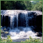 폭포 계곡 자연 숲속 강가 휴식 사우나 휴게실 카페 펜션 파르텔 벽지 시트지 유리 롤스크린 홀 : 으뜸데코