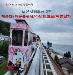 [KTX]부산시티투어 2탄 당일 : 보군여행사