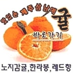 제주 삼남매귤 고당도 하우스 타이벡 레드향 3kg 5kg : 귤향살림