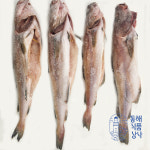 국내산 동해 손질 대구 2kg : 동해식품상사