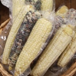 가마솥에서 쪄낸 쫀득쫀득 찰옥수수 : 벨라맘마 마켓