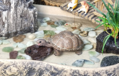 미니 바위산 분수대와 쟁반 수반 수경정원 꾸미기 실내분수대 수반연못 풍수 인테리어 소품 : 꼬모가든