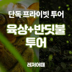 [단독] 보홀 육상+반딧불 프라이빗투어 : 레저어때